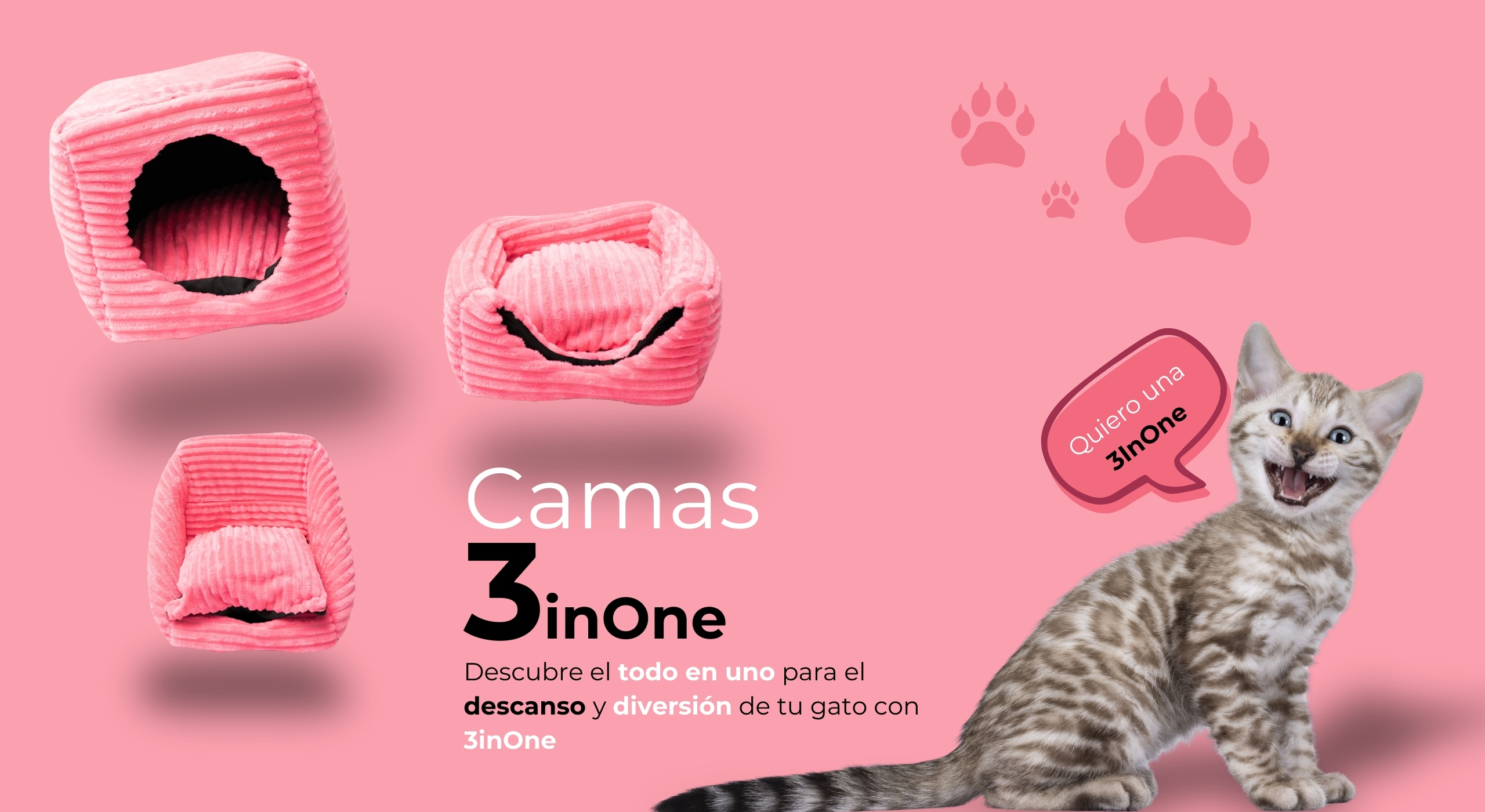 gatos