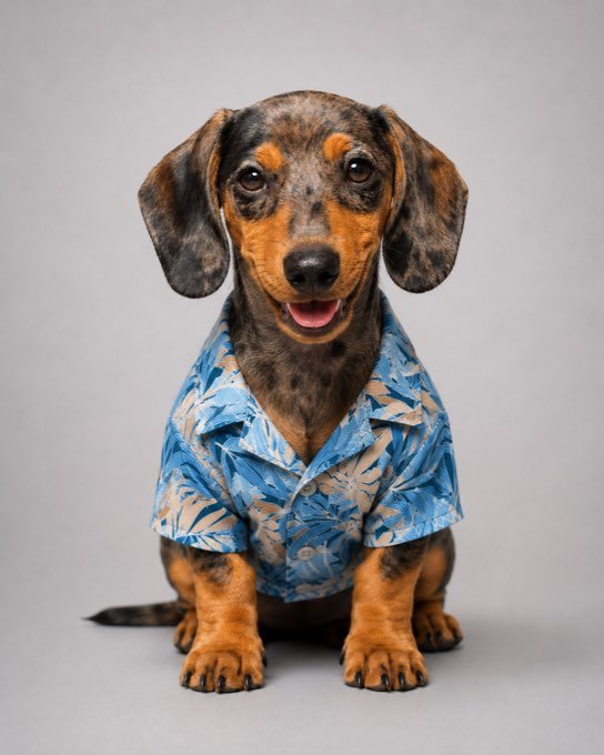 Jagger con la Camisa Selva estampado azul y terracota — colección Selva de Otoño