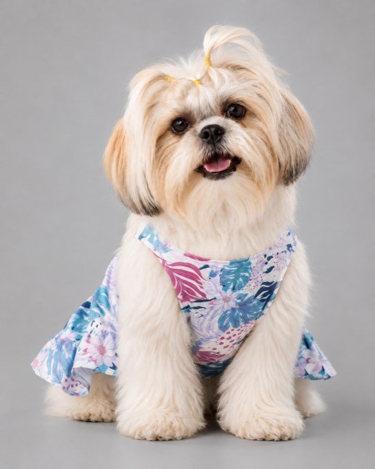 Marggie con el Vestido Selva rosado — colección Selva de Otoño