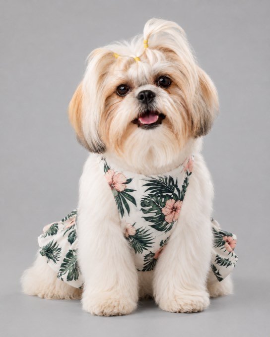 Marggie con el Vestido Selva verde e hibisco — colección Selva de Otoño